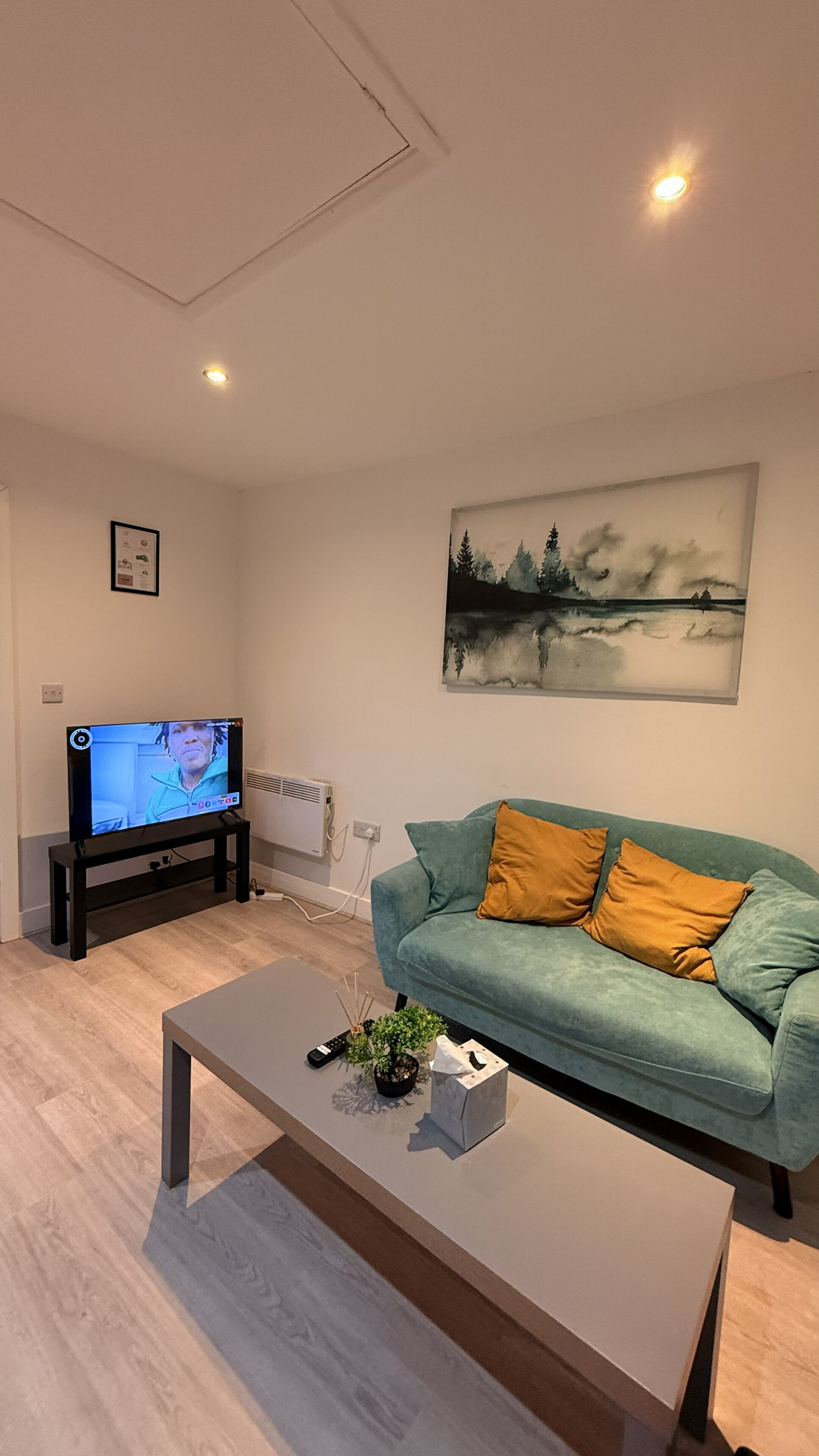 A modern living room with a teal sofa, a coffee table, a TV on a stand, a painting on the wall, and a small plant on the table.