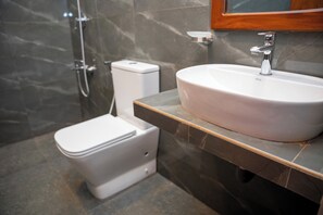 Serviettes fournies, savon, papier toilette