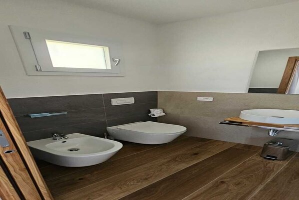 A modern bathroom with a bidet, a sink, and a mirror.