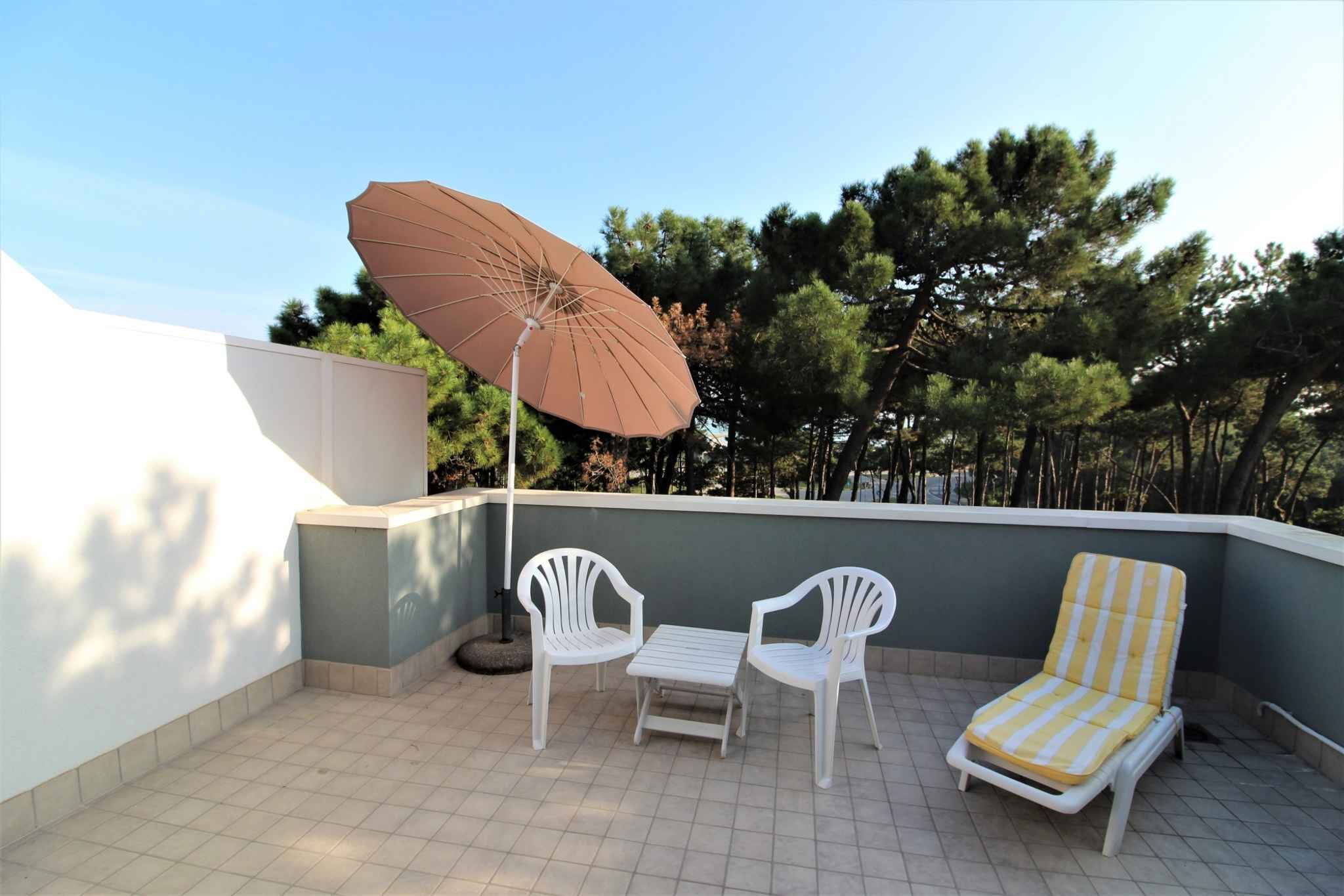 テラス / パティオ