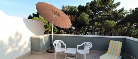 テラス / パティオ