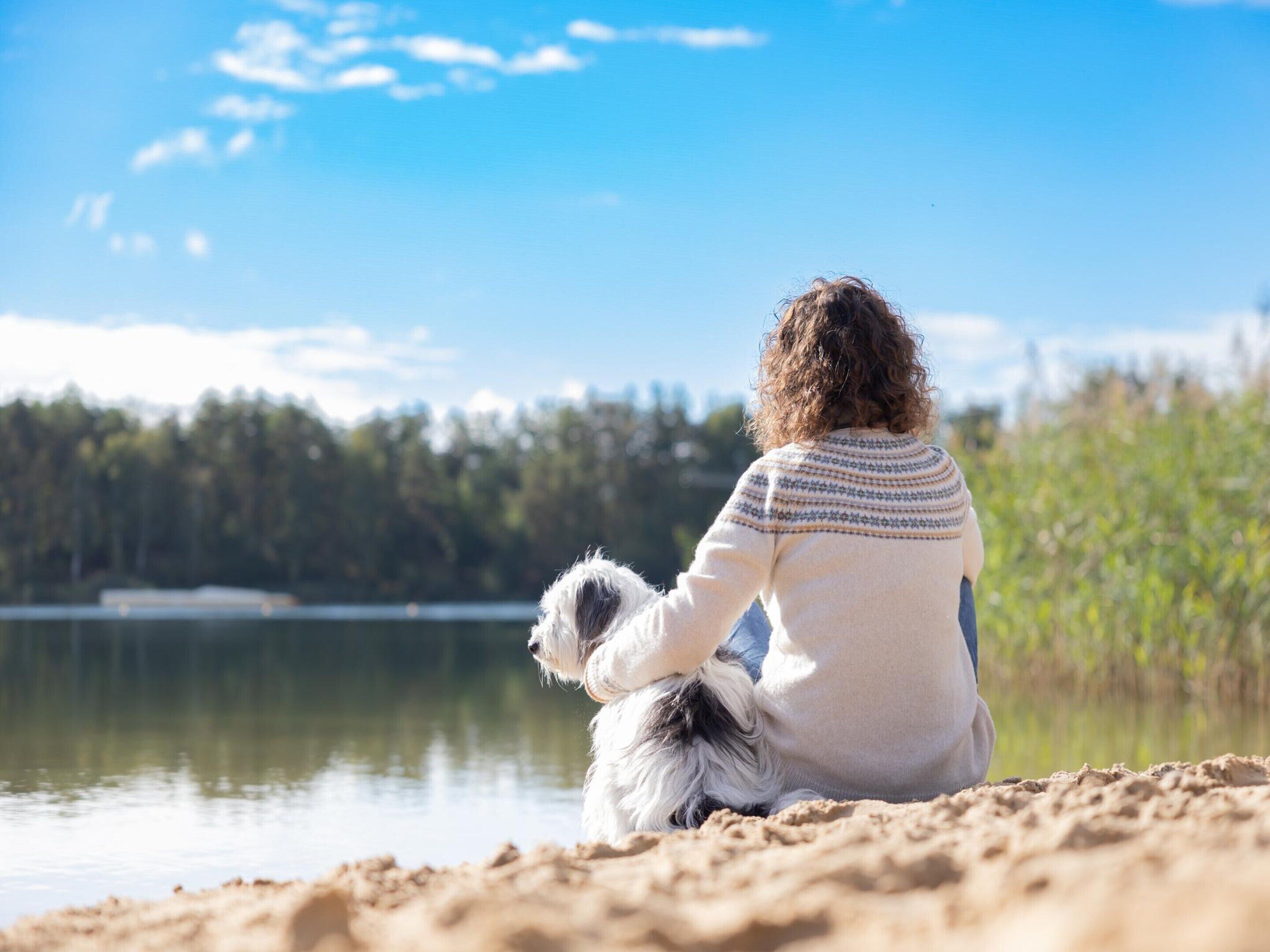 A person sitting on a sandy beach by a lake, holding a small dog.