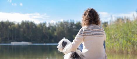A person sitting on a sandy beach by a lake, holding a small dog.