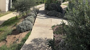 A pathway leading to a beach with a pergola and a building with a glass facade. - Apartment T3 Marine de Bravone feet in the water (Linguizzetta)