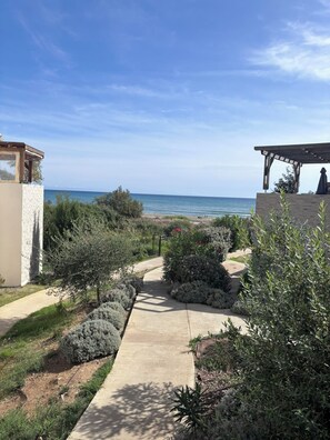 Property grounds - Apartment T3 Marine de Bravone feet in the water (Linguizzetta)
