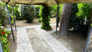 Een tuinpad met een pergola, omgeven door verschillende planten en bomen.