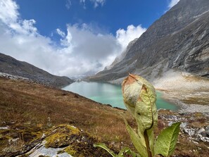 Deluxe Room | Miscellaneous - Hotel Gurudeva (Chiae)