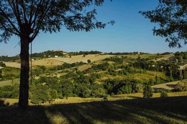 Unclassified image, 1 of 26, button