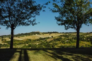 Image sans description, 5 de 26, bouton