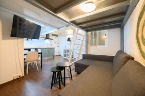 TV - M (JJU15503) Duplex with terrace in Goya (Madrid)