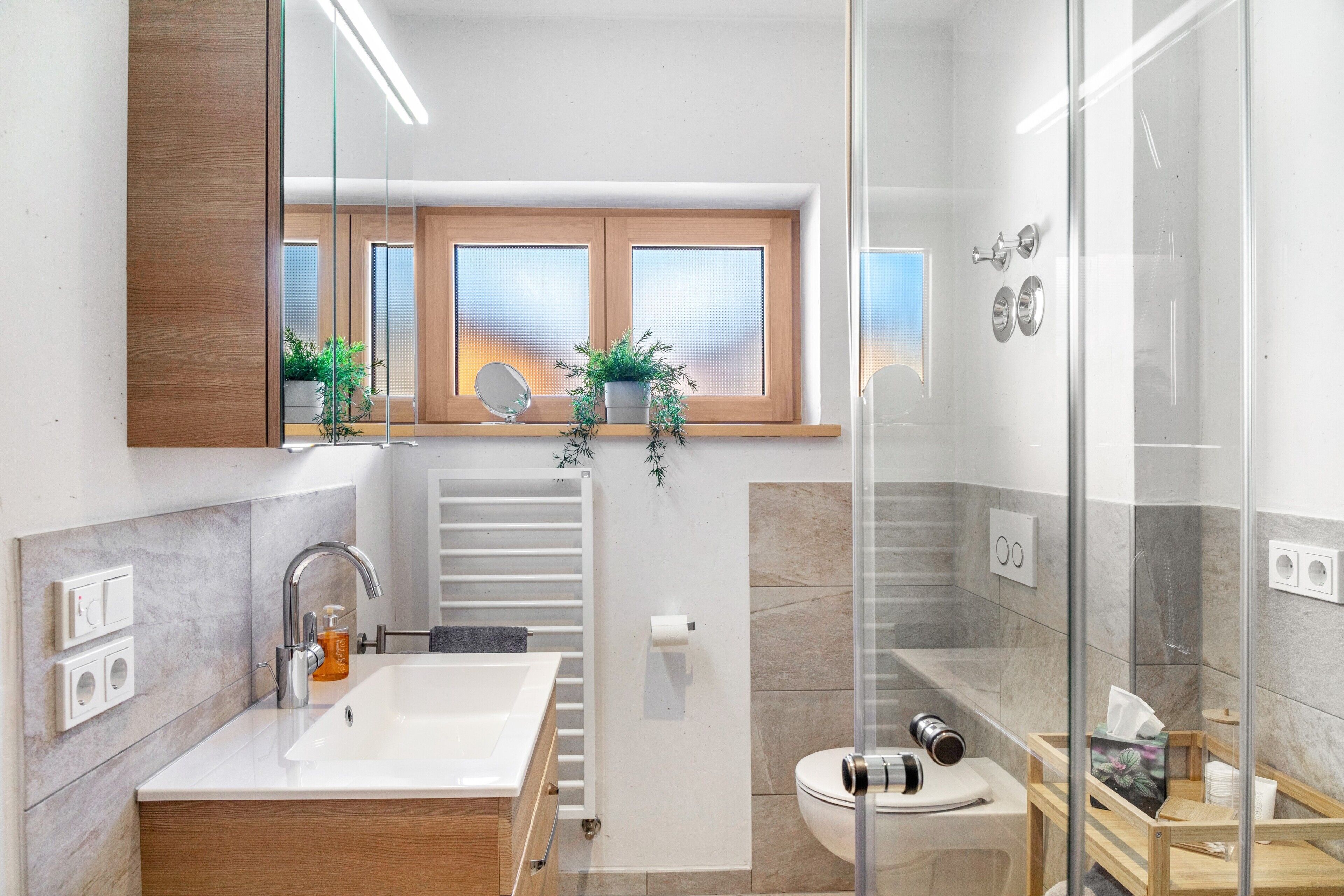 Shower, hair dryer, towels