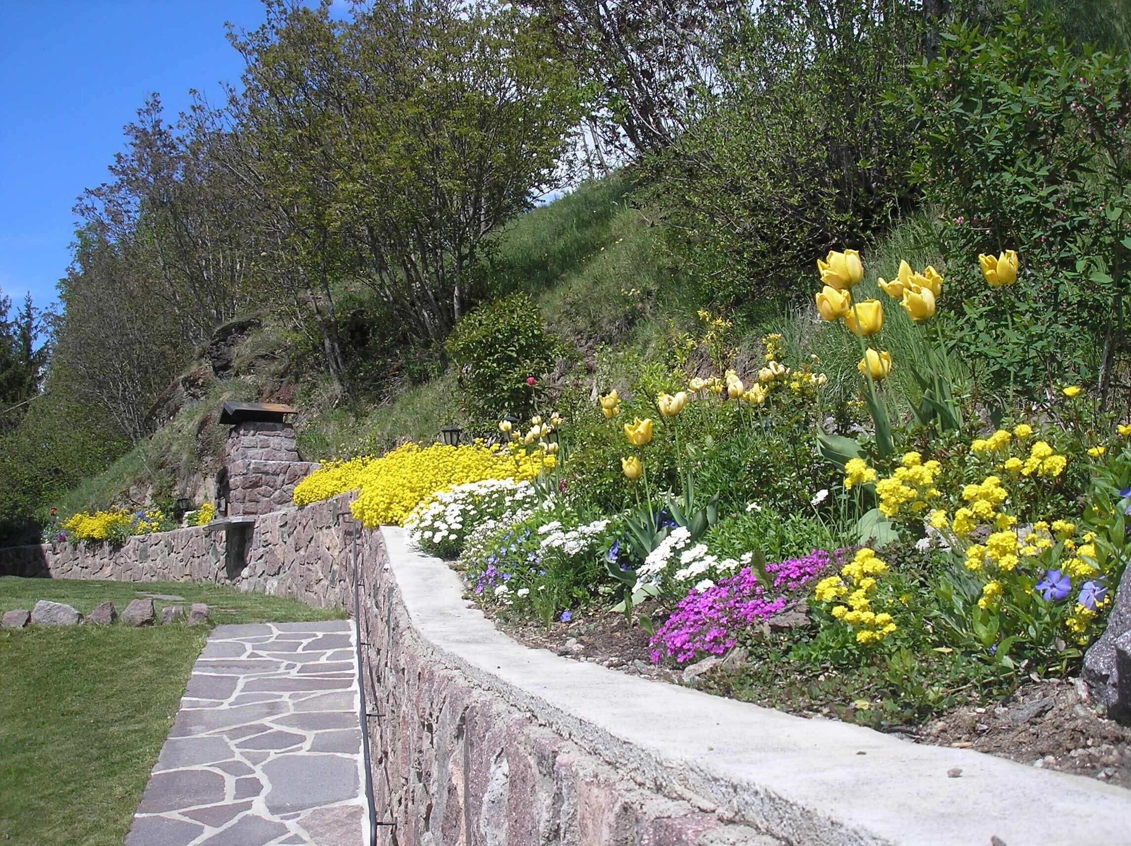 Área da propriedade