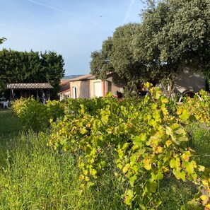 Parco della struttura