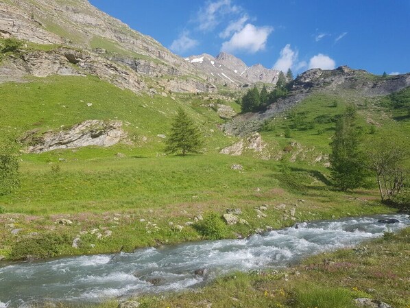 A river flowing through a mountainous landscape with green grass and rocky cliffs.