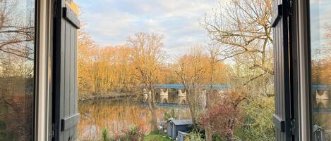 A view through a window with a clear sky and autumn foliage.