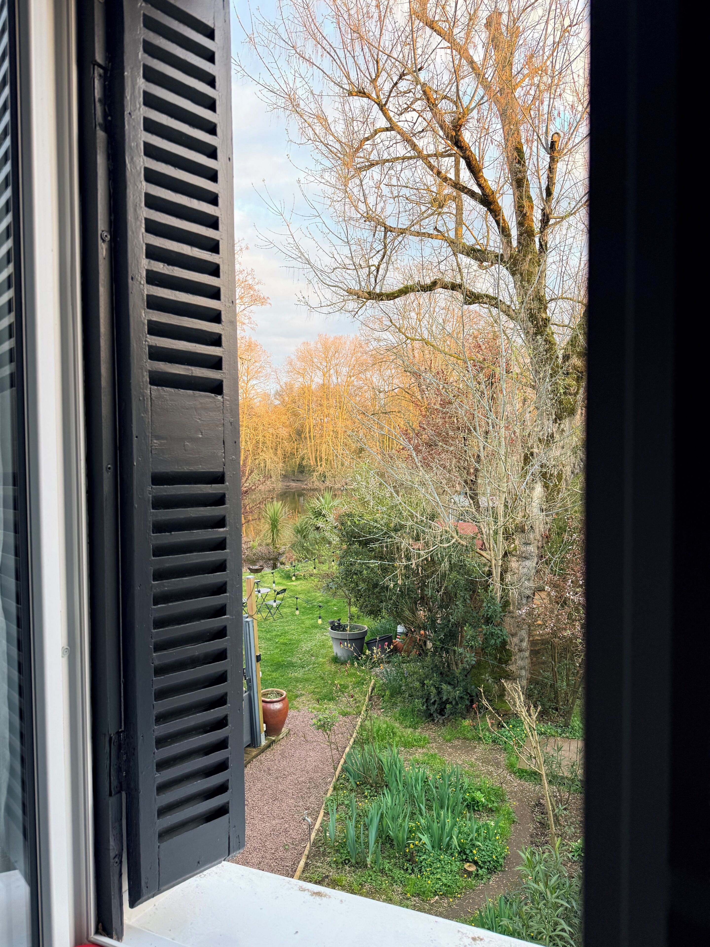 A view through a window with a black shutter, a garden with various plants, a pond, and trees in the background.