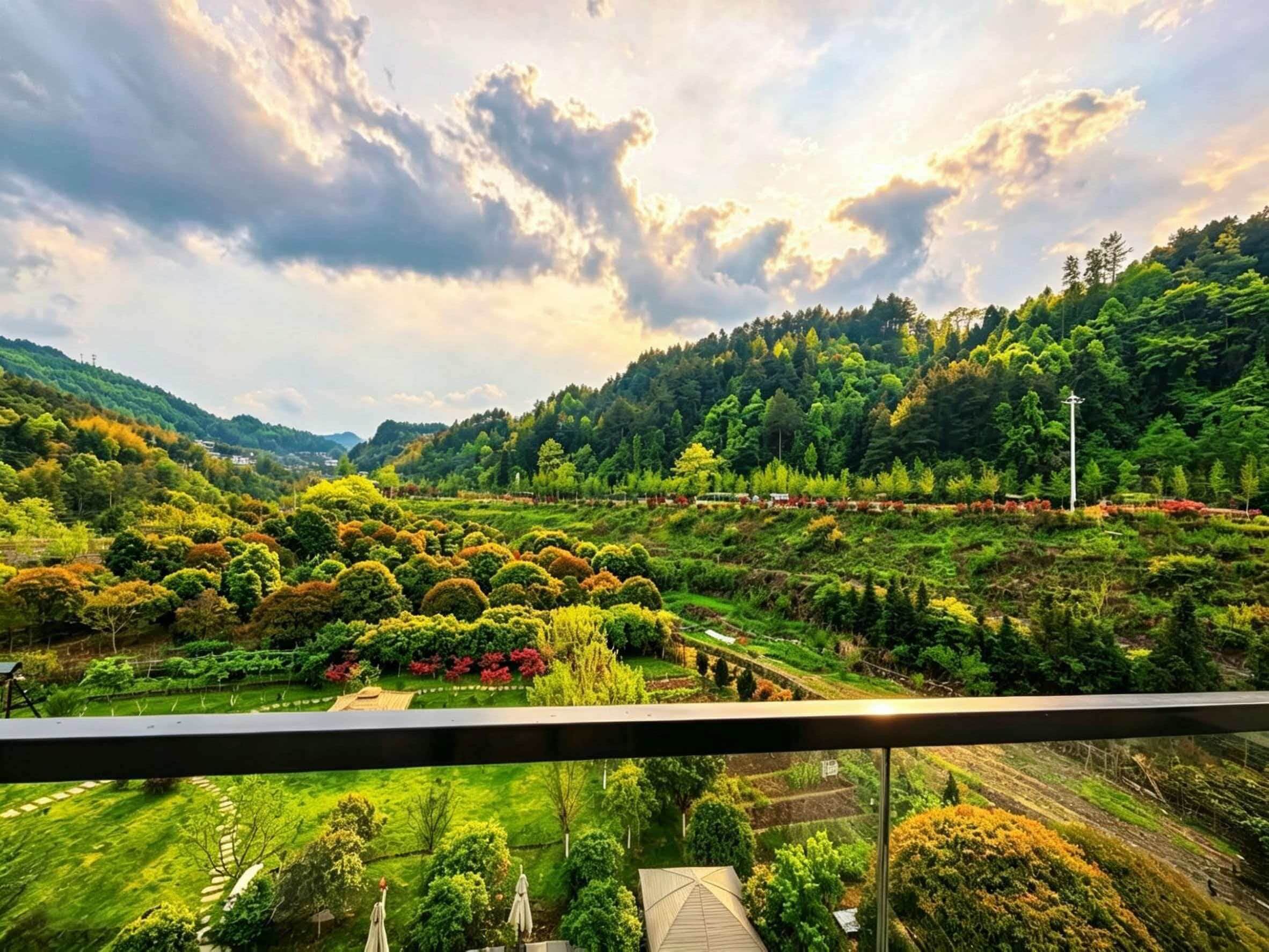 Superior Room | Terrace/patio