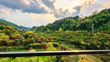 Superior Room | Terrace/patio