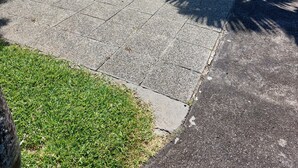 Una casa residenziale con vialetto lastricato, una palma e un prato curato.