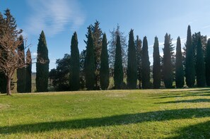 A grassy field with tall trees and a clear sky. - Tenuta Branca - Podere Apartment with Pool and Terrace in Chianti (San Casciano in Val di Pesa)