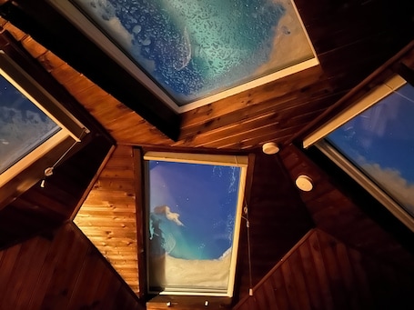 Interior. Magical Igloo/Dome next to a river perfect for relaxing stays