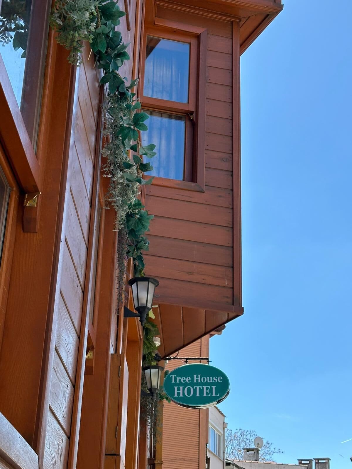 A wooden building with a sign reading "Tree House HOTEL" and a window with a curtain.