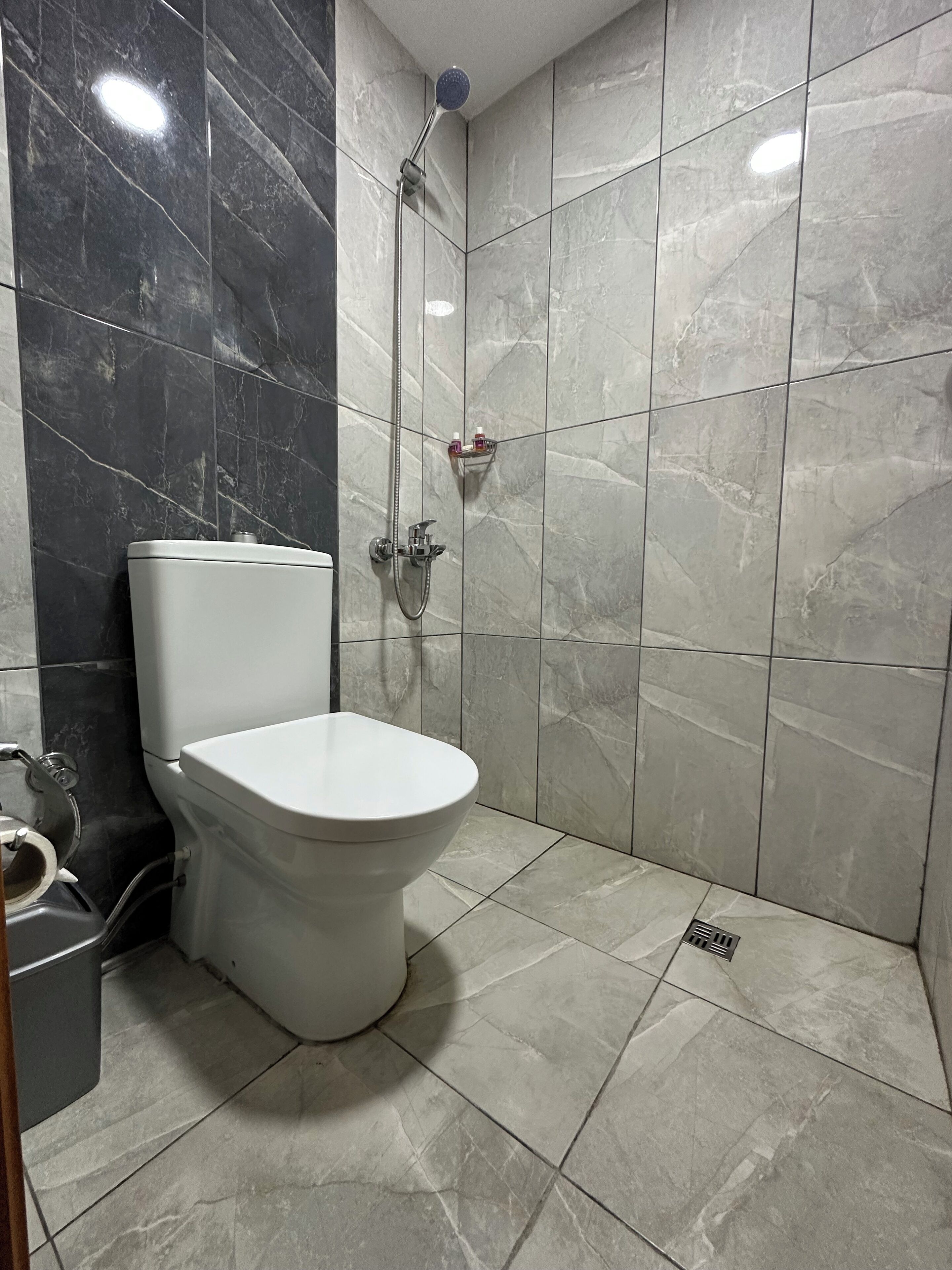 A bathroom with a toilet, a shower with a handheld showerhead, and a tiled floor.