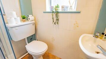 A bathroom with a toilet, sink, and a window with a plant.