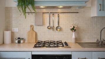 Fridge, oven, stovetop, cookware/dishes/utensils