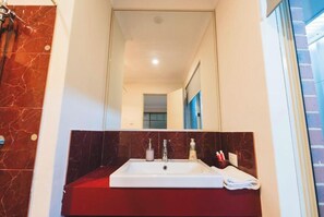 Douche, sèche-cheveux, shampoing