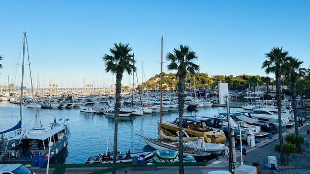 Un puerto deportivo con numerosas embarcaciones amarradas, palmeras y cielo despejado.