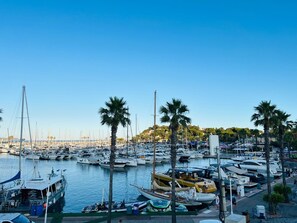 Marina com vários barcos atracados, palmeiras e céu claro.