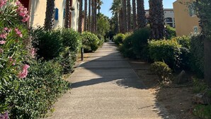 Un sendero bordeado por altas palmeras y edificios de arquitectura tradicional.