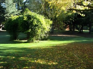 Property grounds - Family Guest Room L'Orée Du Bois with Pool, Terrace and Wi-Fi (Montpon Ménestérol)