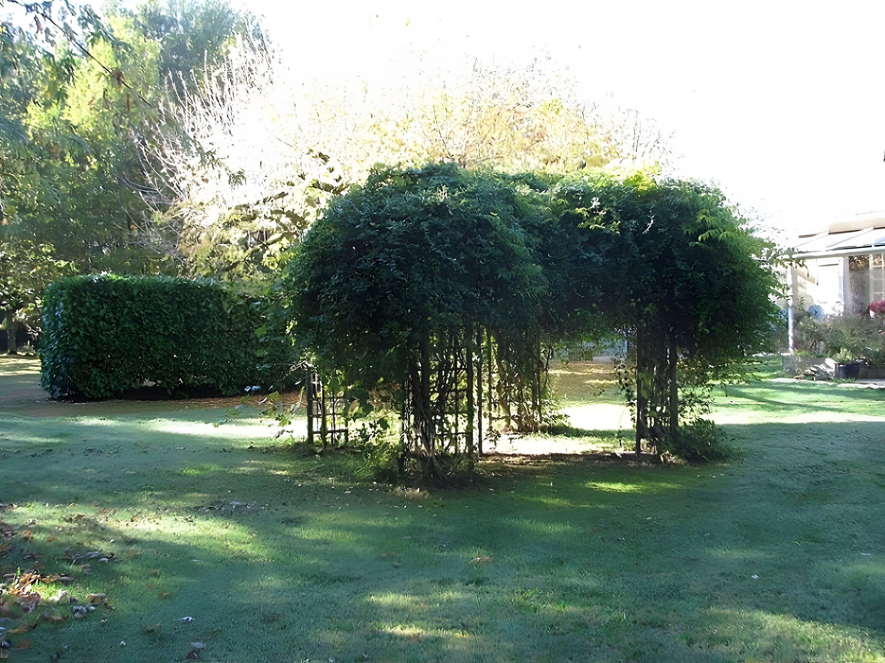 Área da propriedade