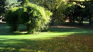 Parco della struttura