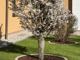 Apartamento | Jardín