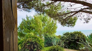Un jardin où l’on trouve une grande variété d’arbres et de plantes, une clôture en bois et une vue sur la mer.