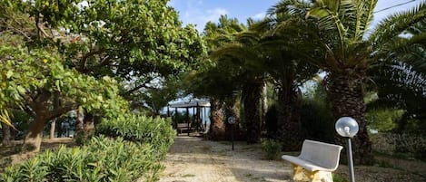 A garden with a gazebo, palm trees, and a bench.