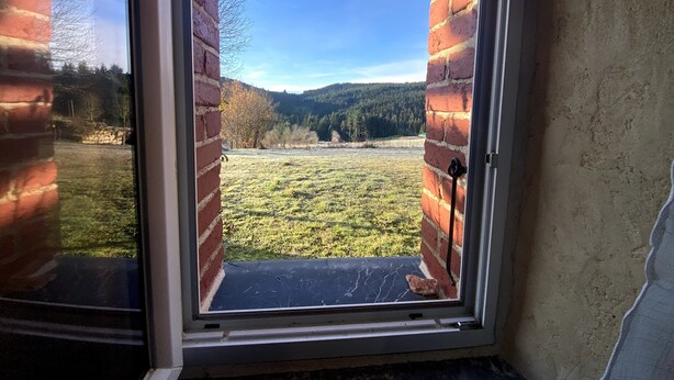 A window with a view of a grassy field and trees.