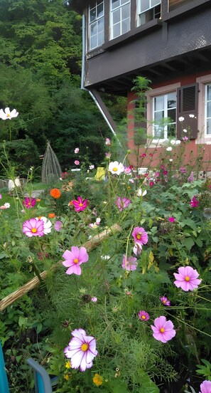 Details aan de buitenkant