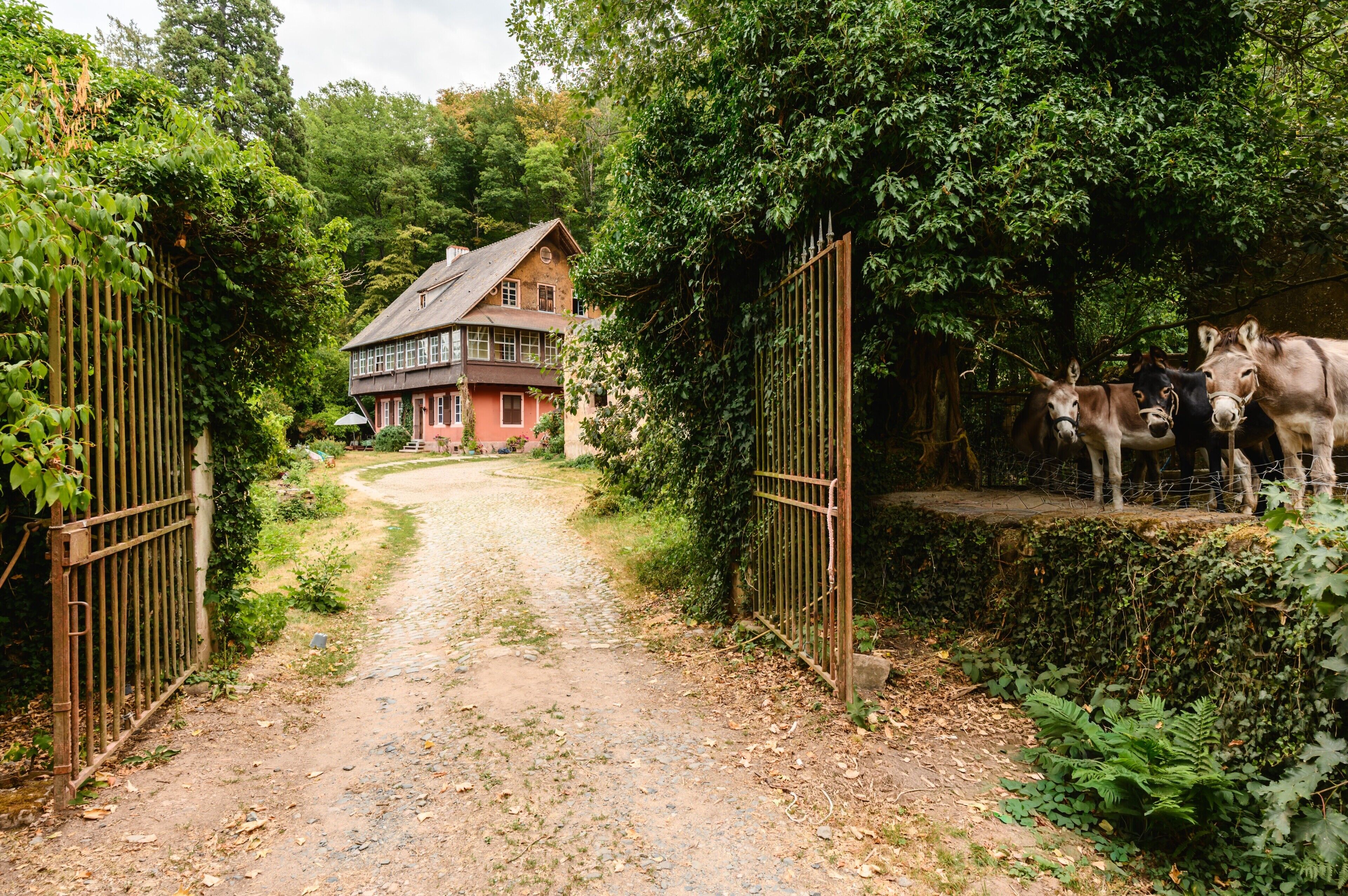 Casa rural con un sendero de tierra que conduce a ella, rodeada de abundante vegetación y un área vallada con dos caballos.