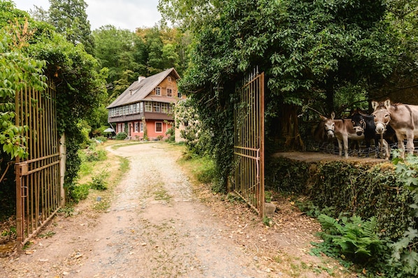 Ein Landhaus mit einer unbefestigten Zufahrt, umgeben von üppigem Grün und einem eingezäunten Bereich mit zwei Pferden.