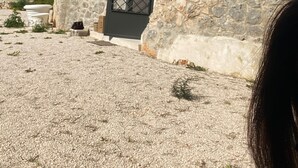Ein Steinhaus mit einem Metallgitter und einem kleinen Garten.