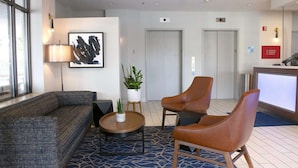 A modern lobby with a grey sofa, two leather chairs, a coffee table, and a potted plant.