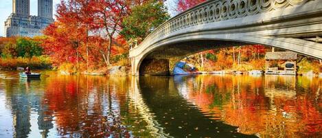 A stone bridge over a river with autumn foliage and buildings in the background.