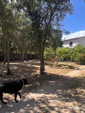 Property grounds - Country house 5 minutes from Bonifacio (BONIFACIO)