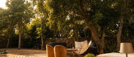Terraza o patio