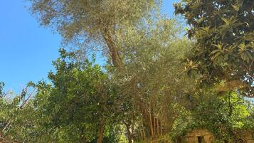 Habitación doble, vista al jardín | Caja de seguridad en la habitación y cortinas blackout