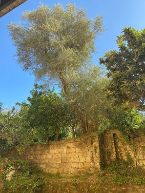 Habitación doble, vistas al jardín | Caja fuerte, cortinas opacas, tabla de planchar con plancha